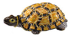 Bild: Deckeldose in Form einer Schildkr&ouml;te